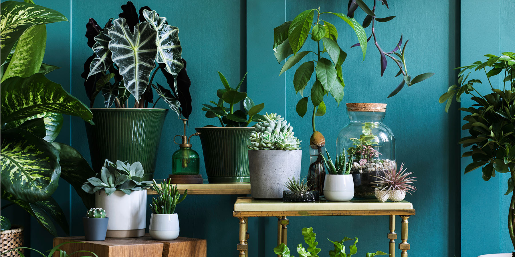 Woman reviewing fixed and variable rates with EBS while relaxing on a chair.